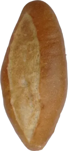 Regular Baton Bread