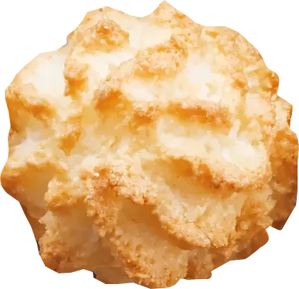 Coco Bun