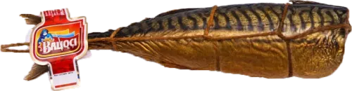 Mackerel Fillets