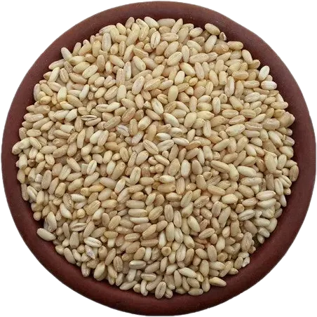 Ashura Wheat