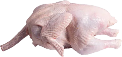 Fresh Whole Turkey