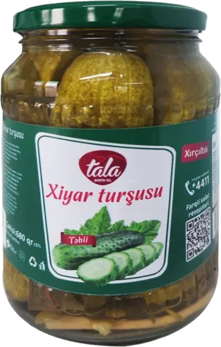 Xiyar Turşusu