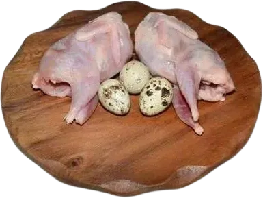 Fresh Quail Meat